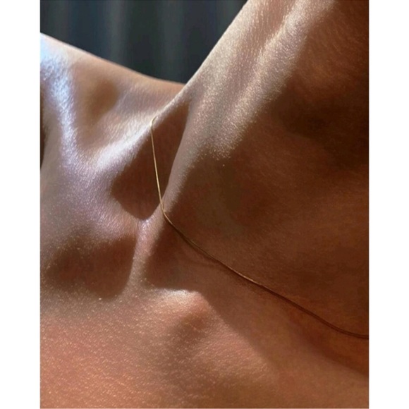 Anthropologie Snake Bone Classy Minimalist Gold
Layering Necklace - Picture 2 of 4